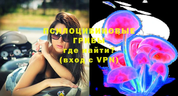 MDMA Premium VHQ Горнозаводск